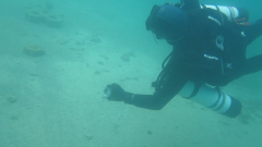 Sidemount mit ADV3