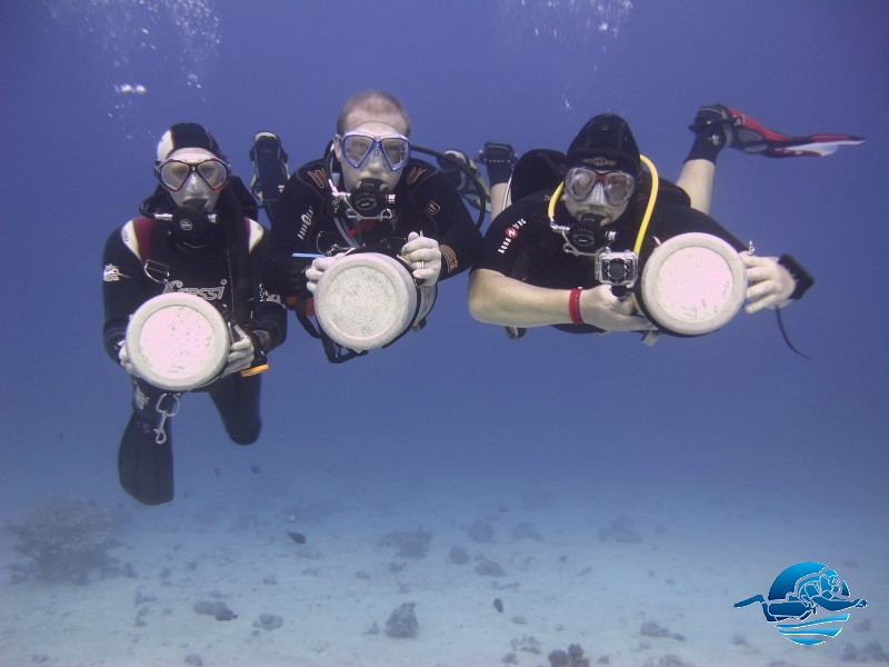 Marion, Stefan & Marcel @ Eurodivers Hurghada, Egypt