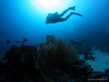 Marcel und Rene mit ihren xDeep in Ägypten, Euro Divers