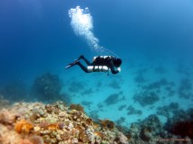 René und sein xDeep im Doublemount in Ägypten, Euro Divers 2