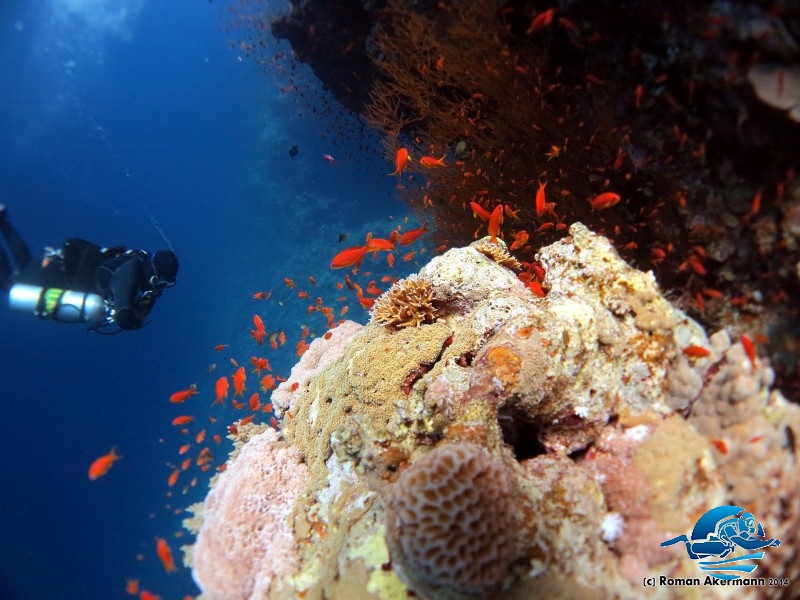 Marcel im xDeep und Doublemount an Abu Kafan, Ägypten, Euro Divers