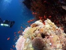 Marcel im xDeep und Doublemount an Abu Kafan, Ägypten, Euro Divers