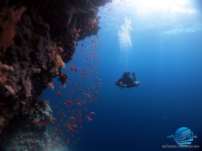 Marcel im xDeep und Doublemount an Abu Kafan, Ägypten, Euro Divers 1