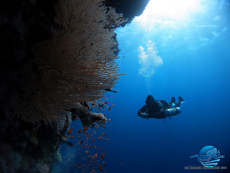 Marcel im xDeep und Doublemount an Abu Kafan, Ägypten, Euro Divers 2