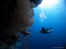 Marcel im xDeep und Doublemount an Abu Kafan, Ägypten, Euro Divers 2