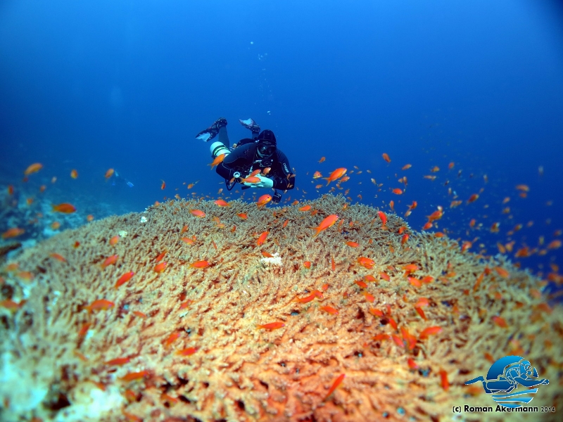 xDeep und Marcel, Sidemount Impressionen, Ägypten, Euro Divers