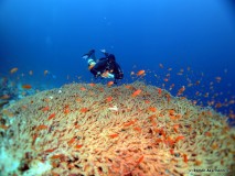 xDeep und Marcel, Sidemount Impressionen, Ägypten, Euro Divers