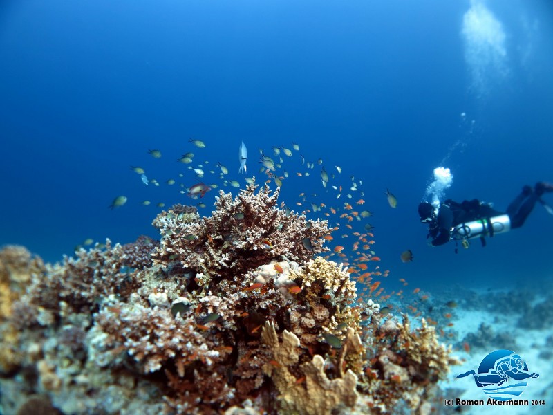 xDeep und Marcel, Sidemount Impressionen, Ägypten, Euro Divers 3