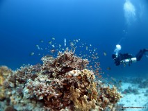 xDeep und Marcel, Sidemount Impressionen, Ägypten, Euro Divers 3