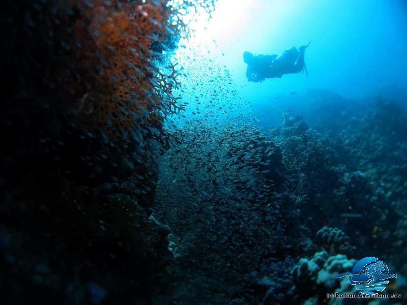 xDeep und Marcel, Sidemount Impressionen, Ägypten, Euro Divers 4