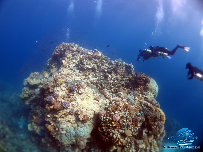 xDeep und Marcel, Sidemount Impressionen, Ägypten, Euro Divers 10