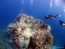 xDeep und Marcel, Sidemount Impressionen, Ägypten, Euro Divers 10