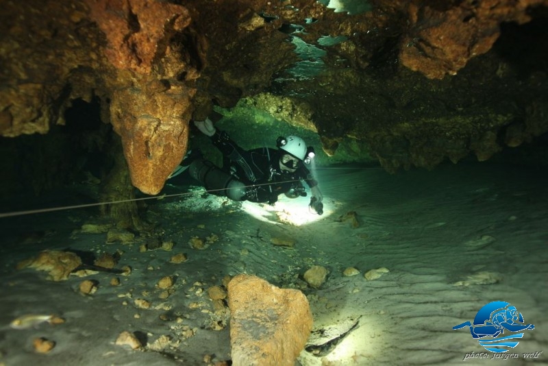 Marcus Cenote 2013