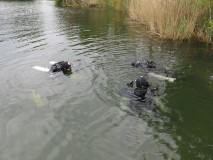 Sidemount Testevent Seahorse Kronau Test im Wasser 01