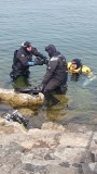 Sidemount Tauchen in Rorschach am Bodensee04