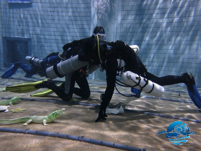 Divers Inn SM Training 20150425 00016
