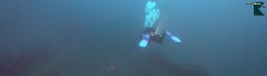 smt-header_scubamedia-togo-3
