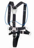 Harness 1